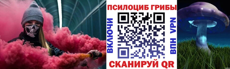 Галлюциногенные грибы Psilocybe  Саяногорск 